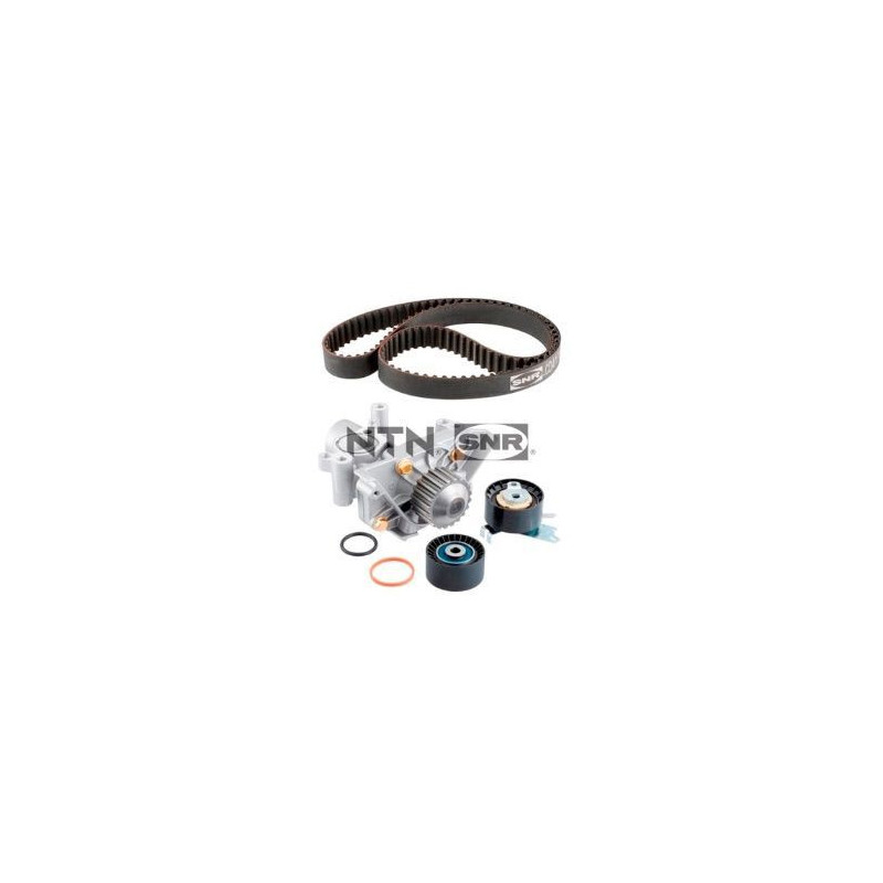 Tendicinghia trapezoidale - SNR