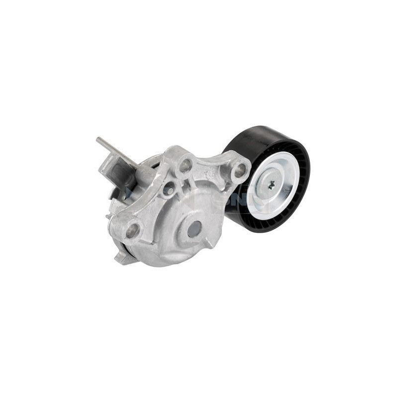 Tendicinghia trapezoidale - SNR