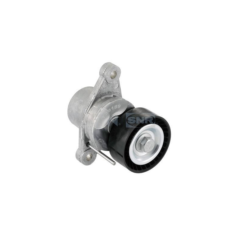 Tendicinghia trapezoidale - SNR