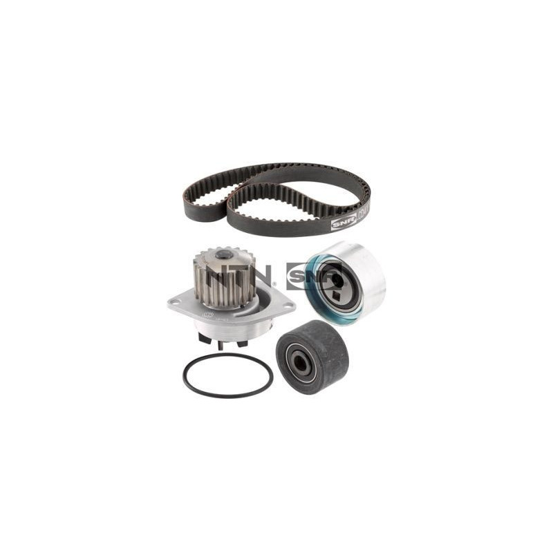 Cinghia/catena distribuzione - SNR