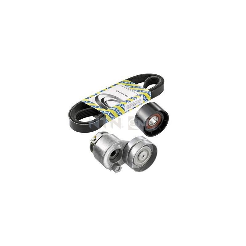 Tendicinghia trapezoidale - SNR