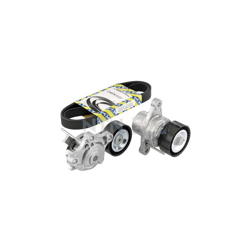 Tendicinghia trapezoidale - SNR