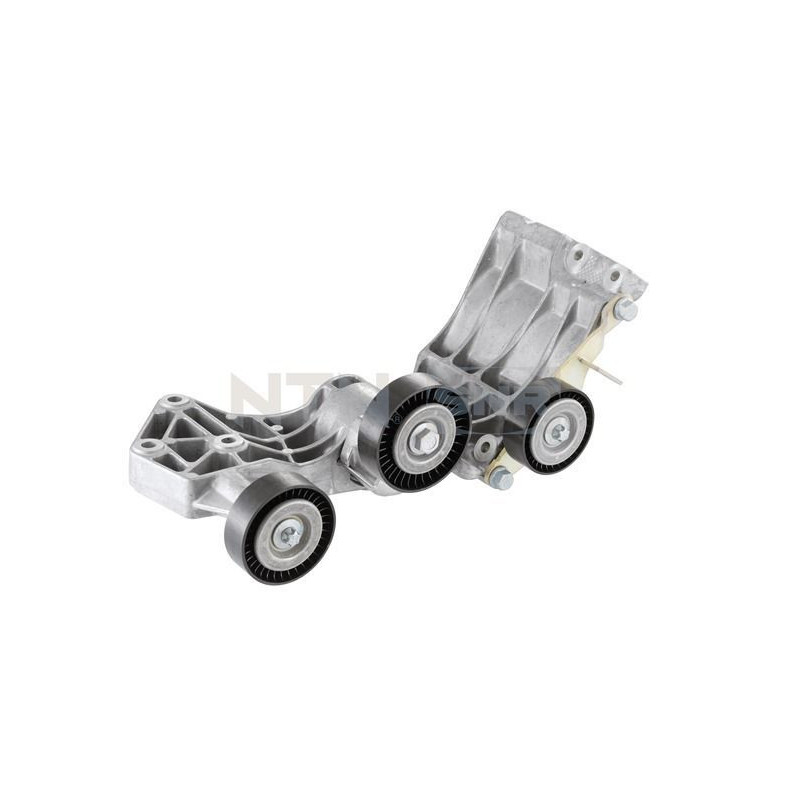 Tendicinghia trapezoidale - SNR