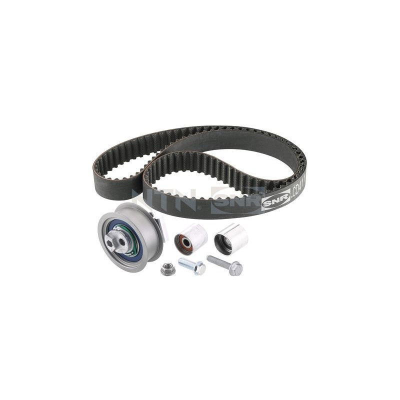 Tendicinghia trapezoidale - SNR