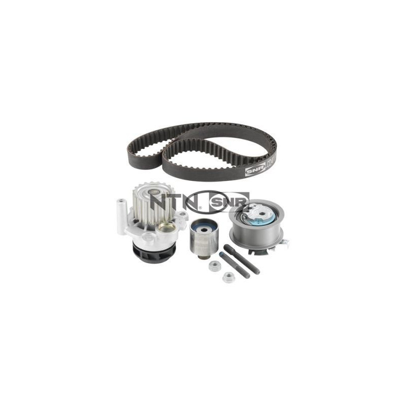 Cinghia/catena distribuzione - SNR