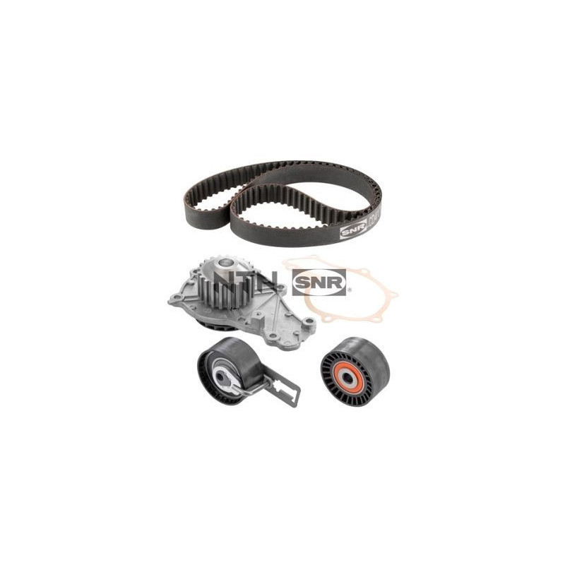 Tendicinghia distribuzione - SNR