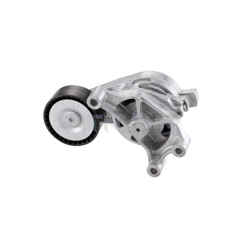 Tendicinghia trapezoidale - SNR