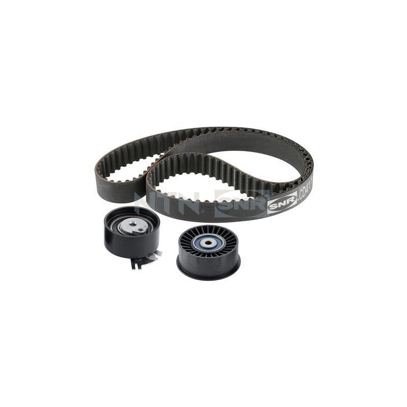 Cinghia/catena distribuzione - SNR