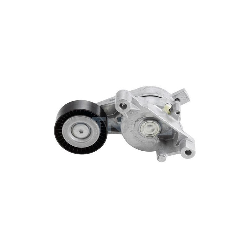 Tendicinghia trapezoidale - SNR