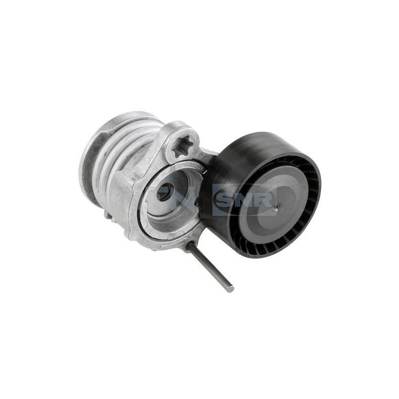 Tendicinghia trapezoidale - SNR