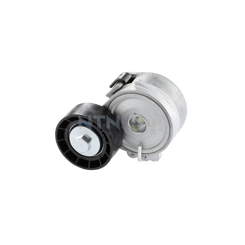 Tendicinghia trapezoidale - SNR