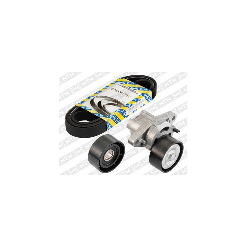 Tendicinghia trapezoidale - SNR