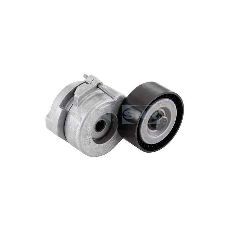 Tendicinghia trapezoidale - SNR