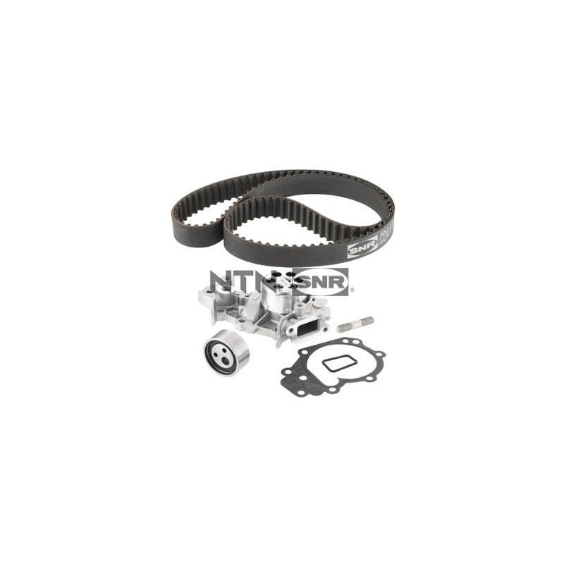 Cinghia/catena distribuzione - SNR