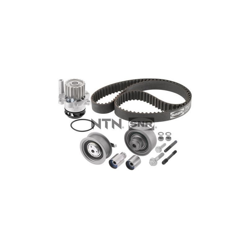 Tendicinghia trapezoidale - SNR