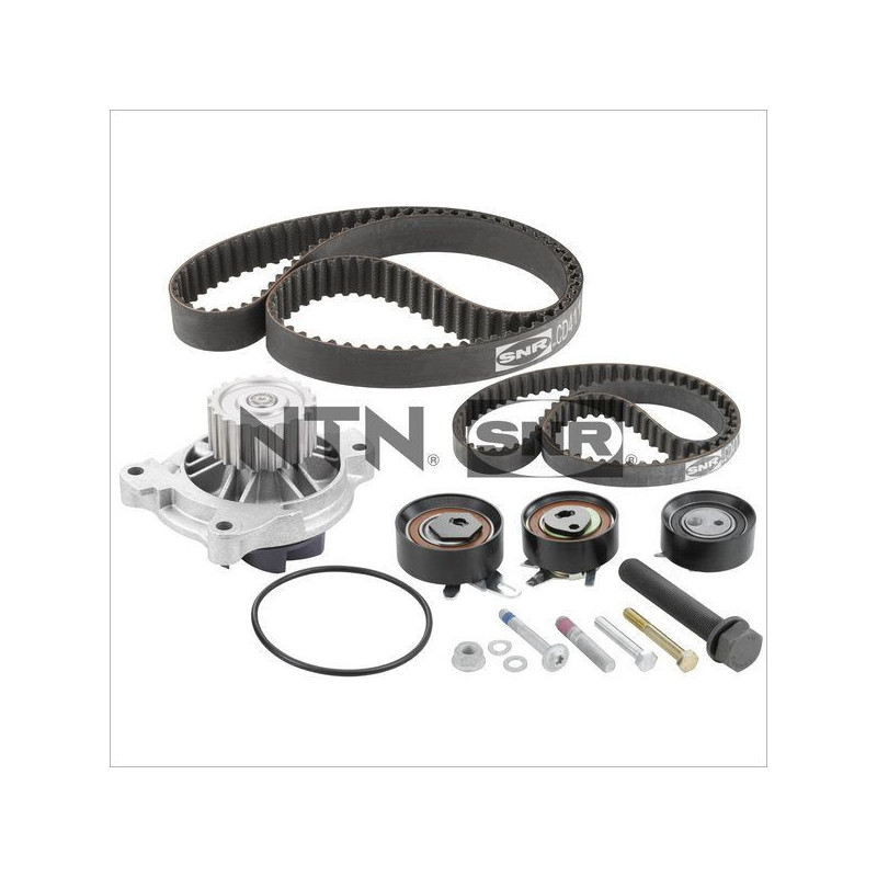 Cinghia/catena distribuzione - SNR