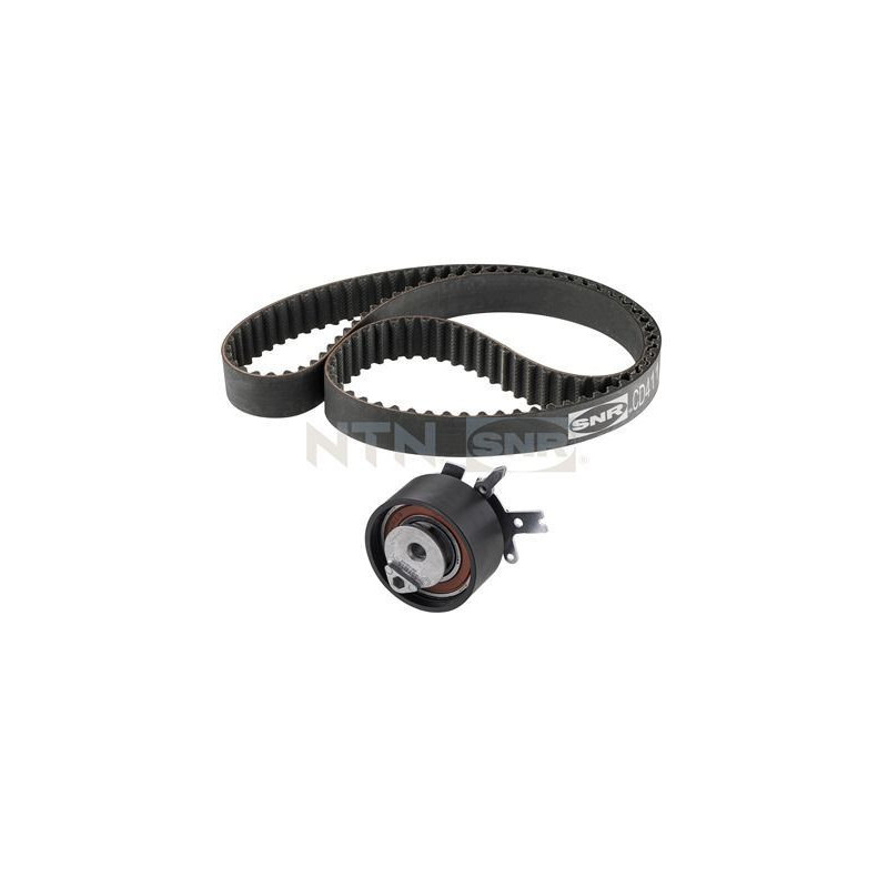 Cinghia/catena distribuzione - SNR