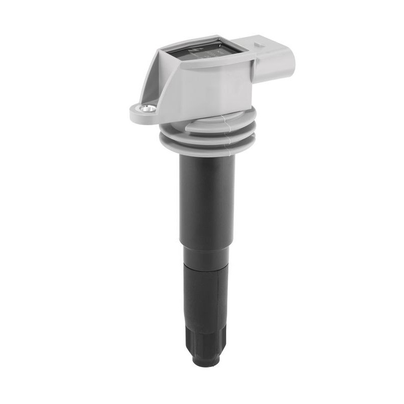 Bobina accensione - BORG WARNER