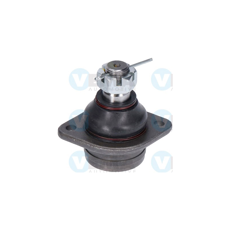 Pastiglie freno asse anteriore - VEMA