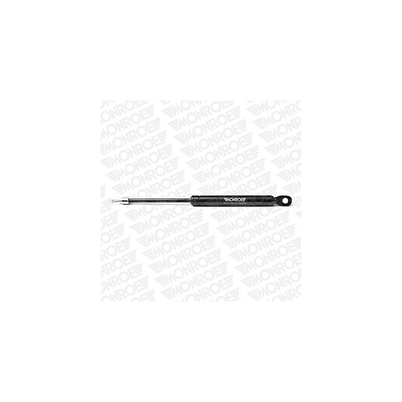 Pompa acqua - MONROE