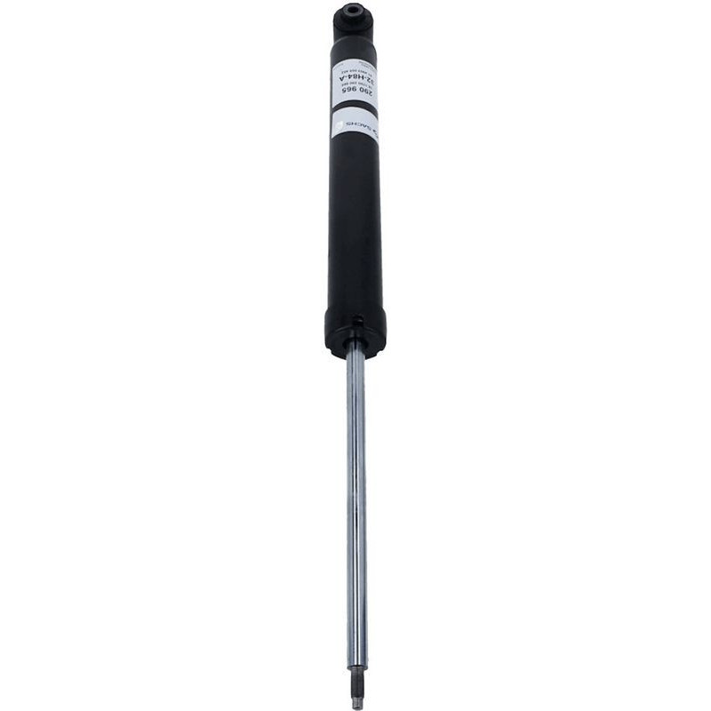 Ammortizzatore asse posteriore - SACHS