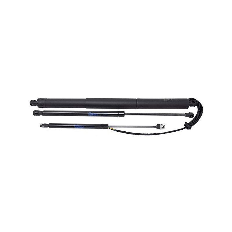 Pistoncino ammortizzatore - VEMA