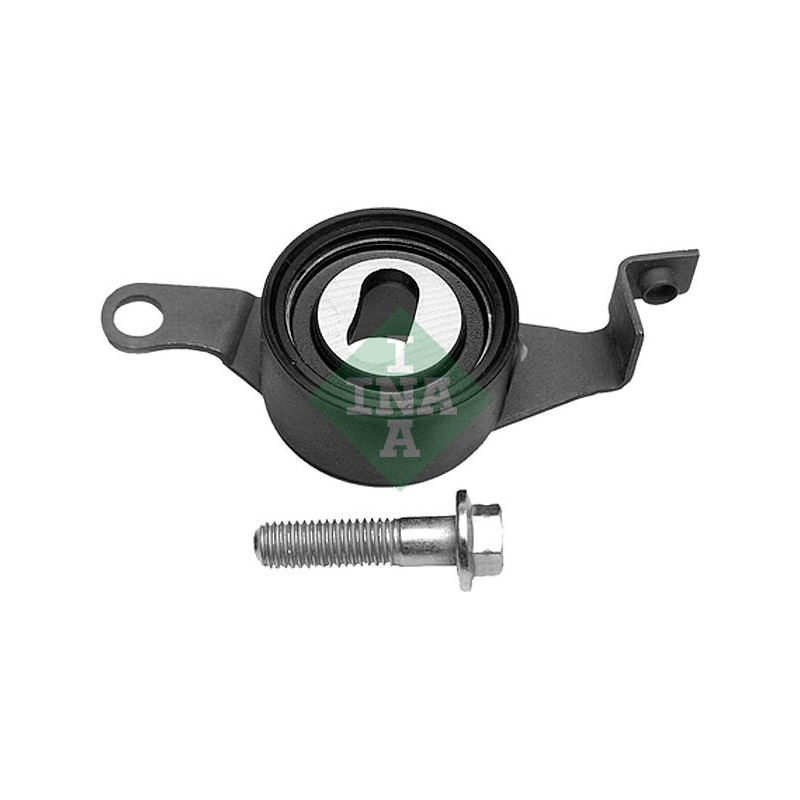 Tendicinghia distribuzione - INA