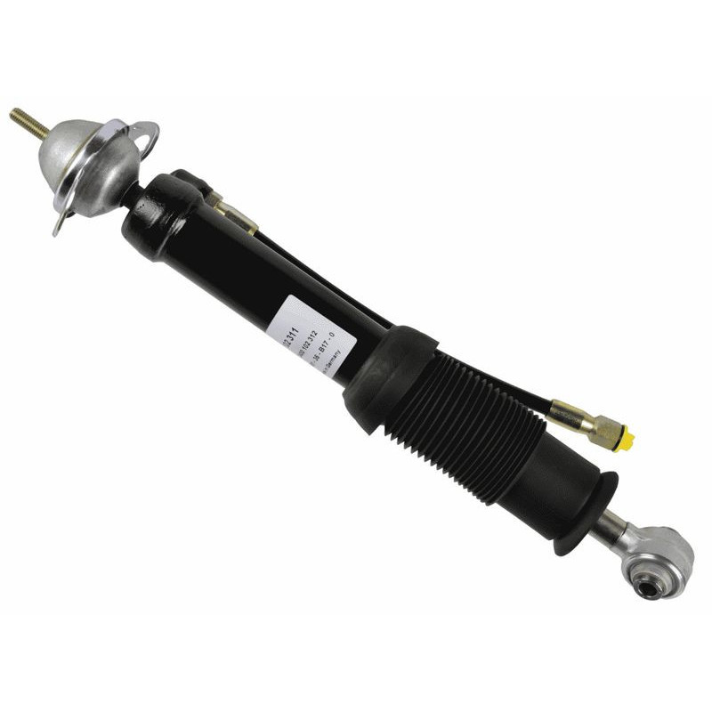 Ammortizzatore asse posteriore - SACHS