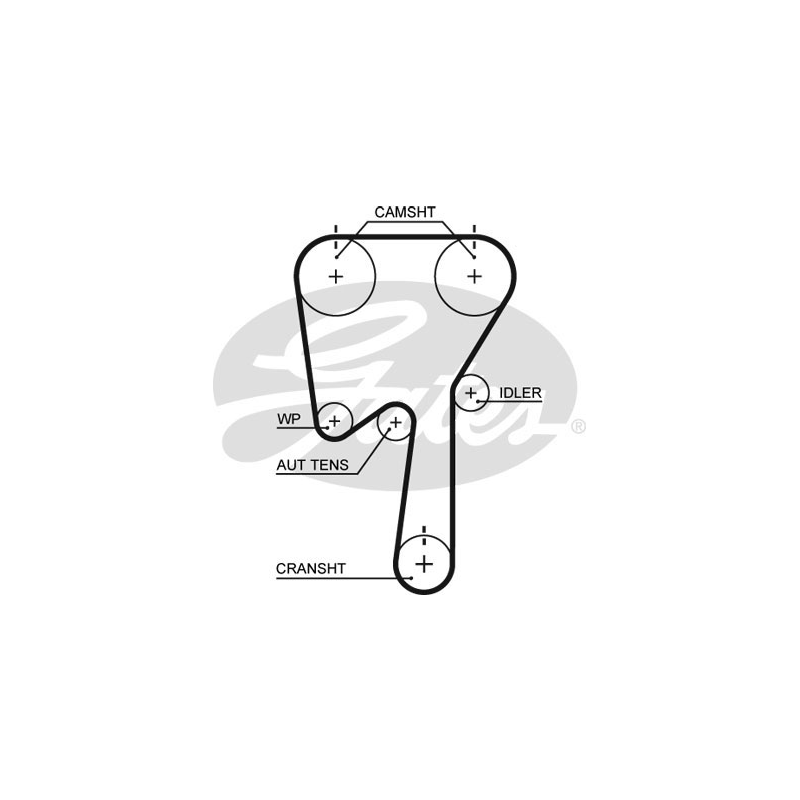 Cinghia/catena distribuzione - GATES