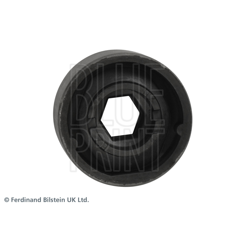 Braccio oscillante asse posteriore - BLUE PRINT