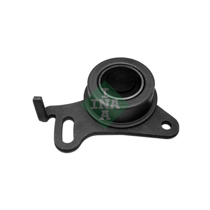 Tendicinghia distribuzione - INA