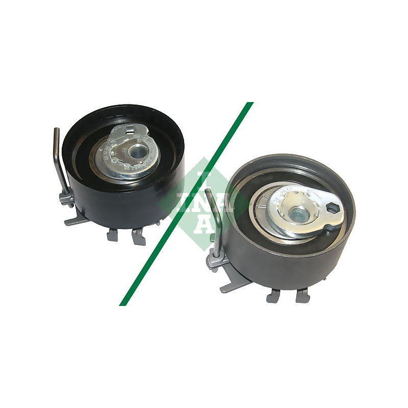 Tendicinghia distribuzione - INA