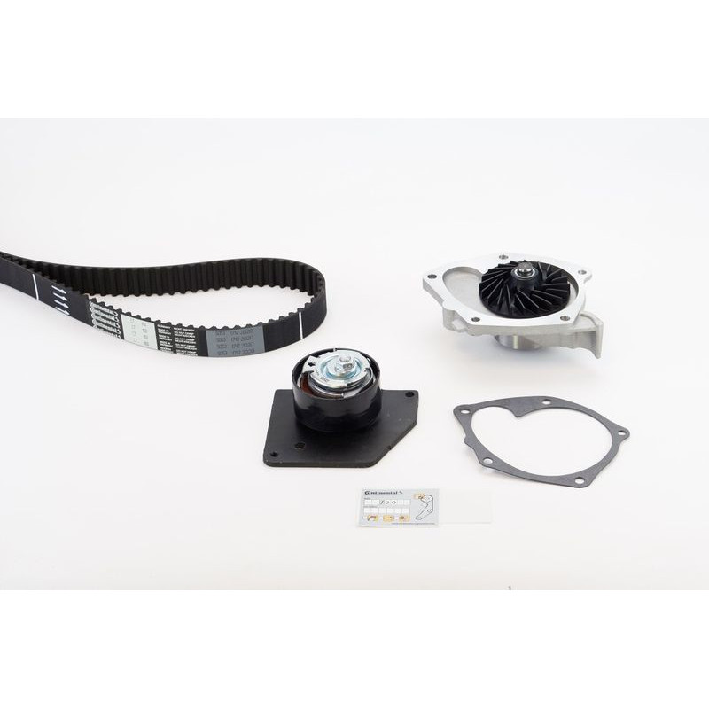 Cinghia/catena distribuzione - CONTITECH