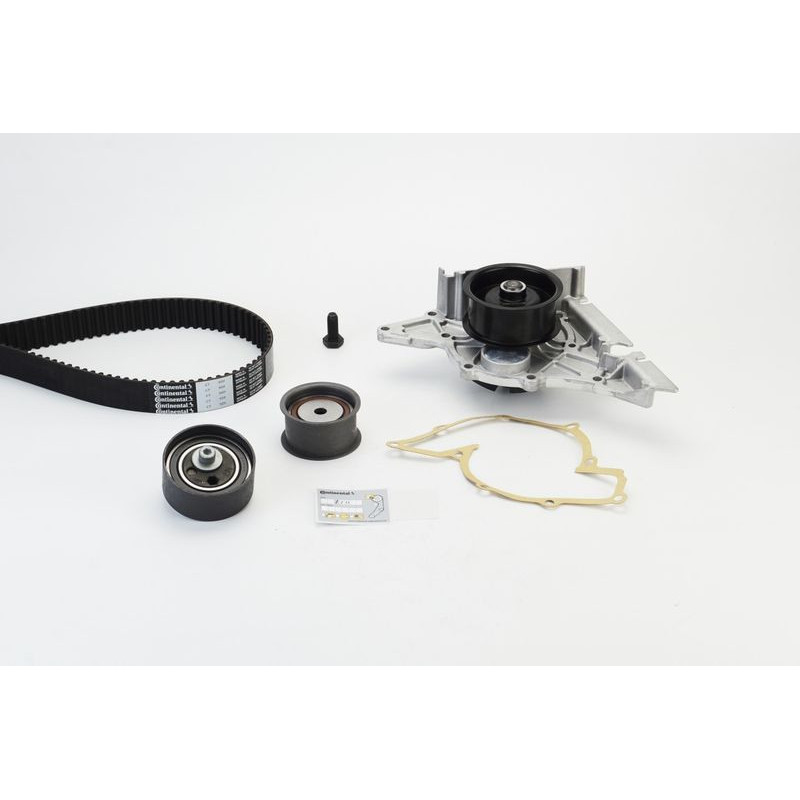 Cinghia/catena distribuzione - CONTITECH