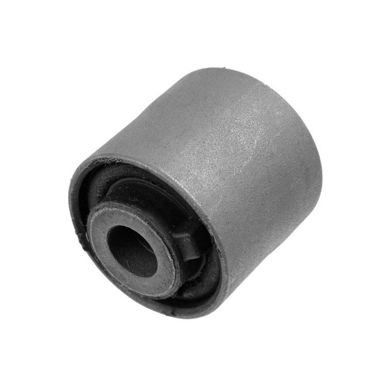 Braccio oscillante asse posteriore - LEMFORDER