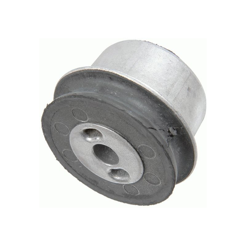 Braccio oscillante asse posteriore - LEMFORDER