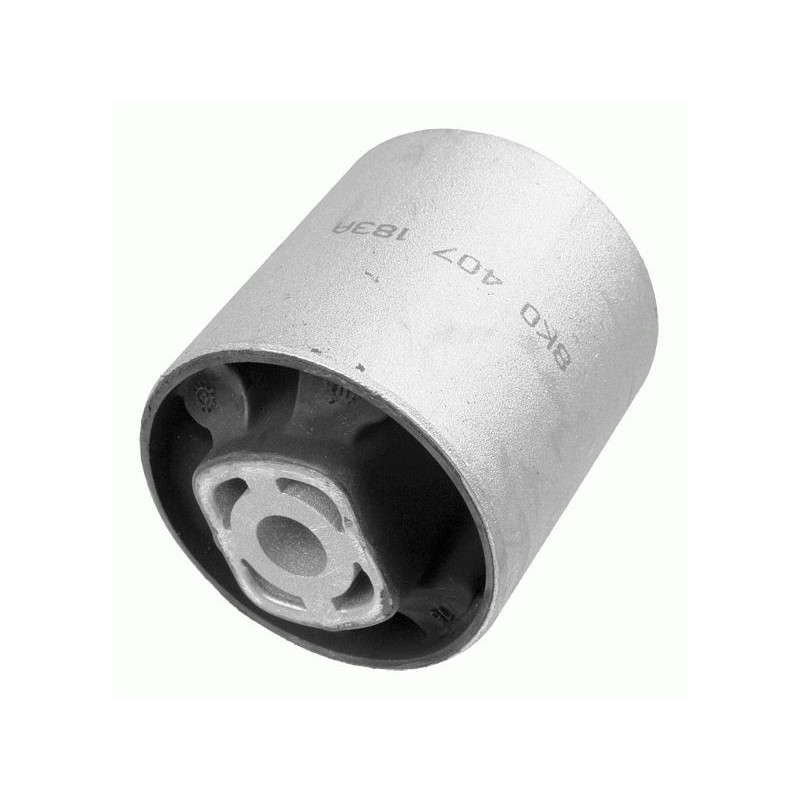 Braccio oscillante asse anteriore - LEMFORDER