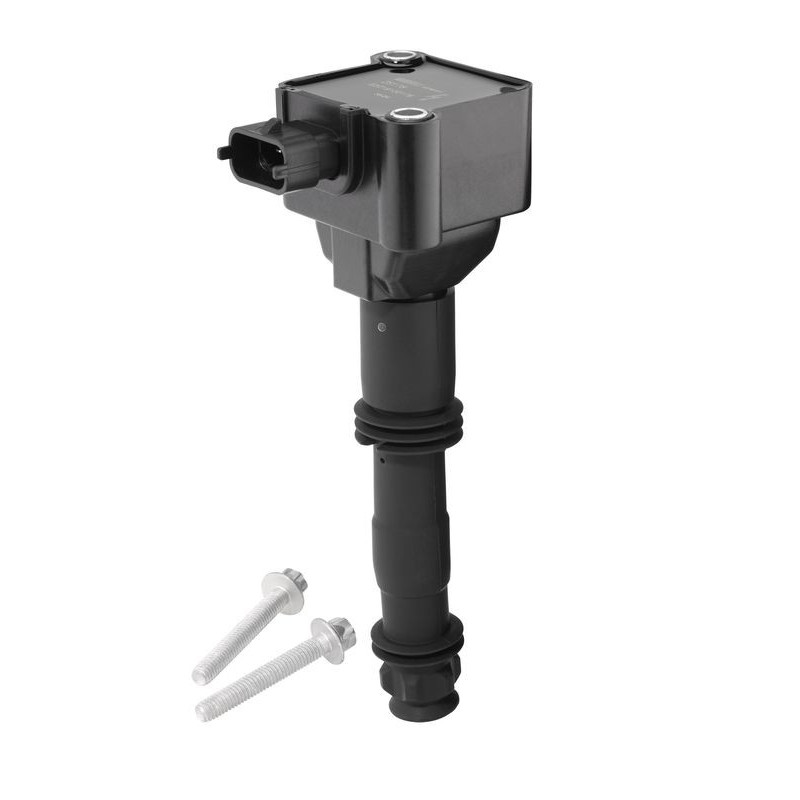 Bobina accensione - BORG WARNER