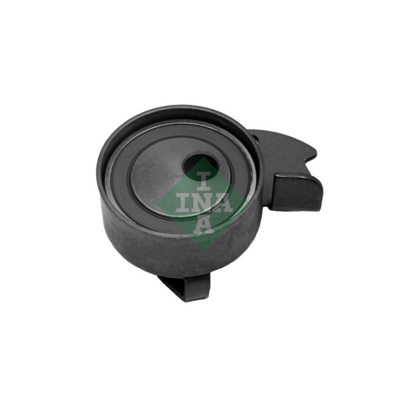 Tendicinghia distribuzione - INA