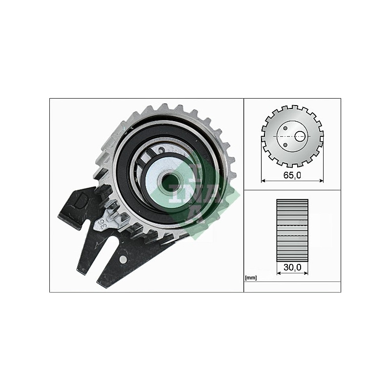 Tendicinghia distribuzione - INA