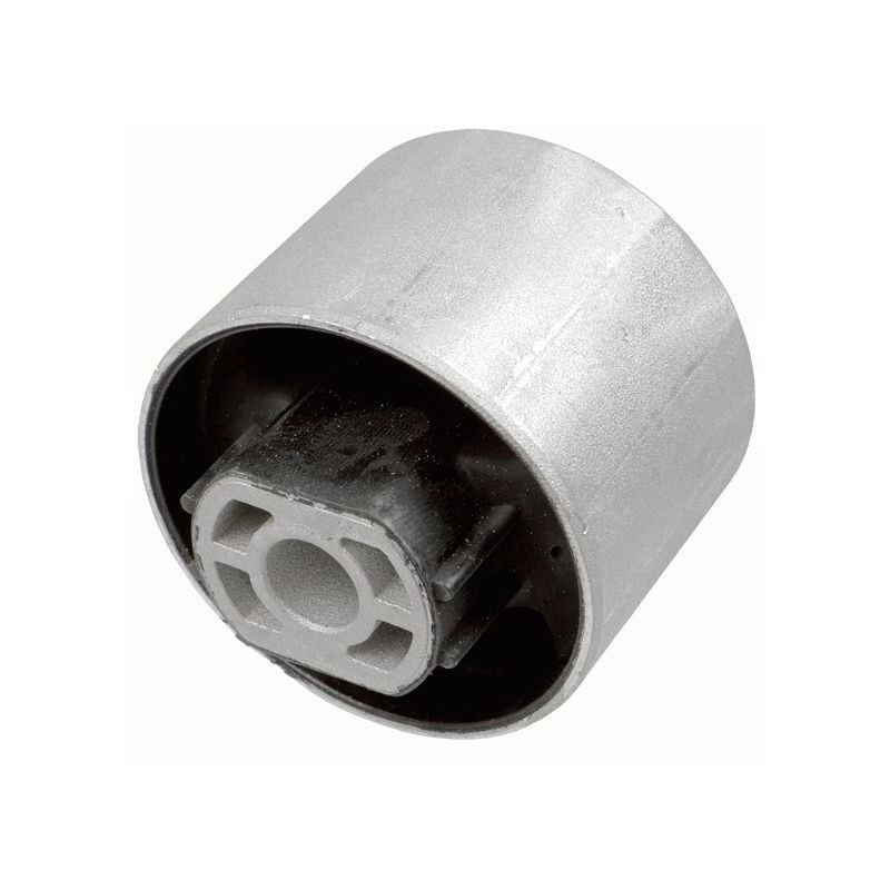 Braccio oscillante asse posteriore - LEMFORDER