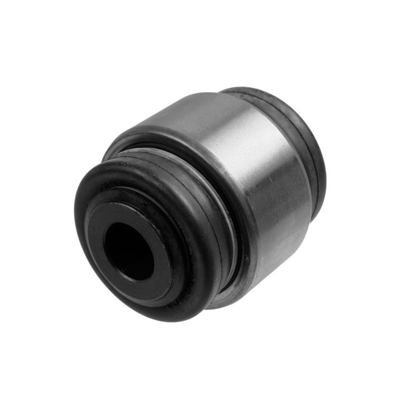 Braccio oscillante asse posteriore - LEMFORDER