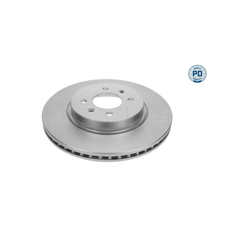 Disco freno asse anteriore - MEYLE