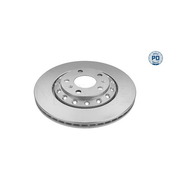 Disco freno asse posteriore - MEYLE
