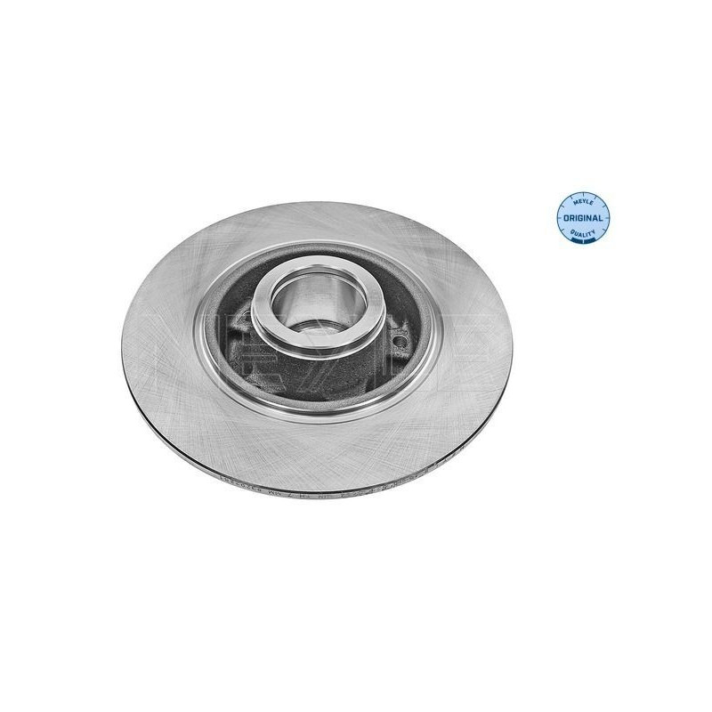 Disco freno asse posteriore - MEYLE