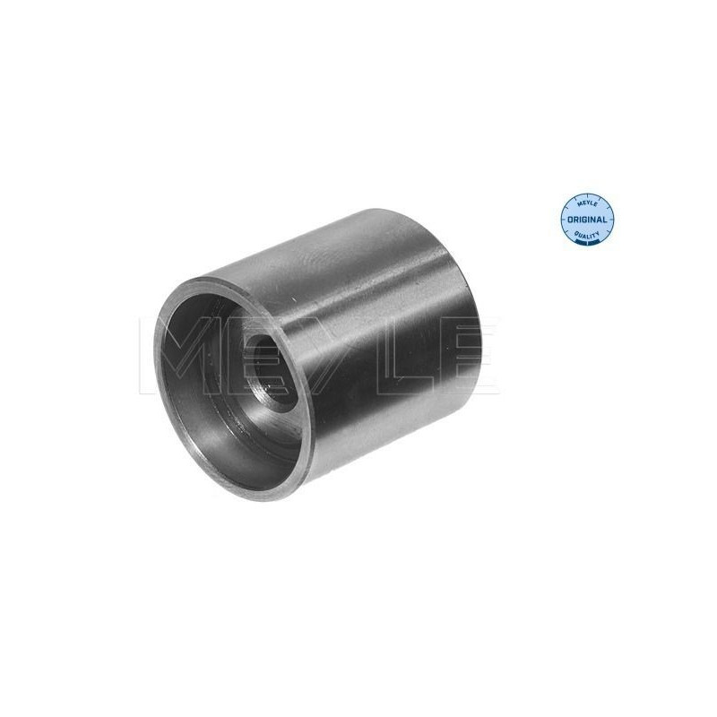 Tendicinghia distribuzione - MEYLE