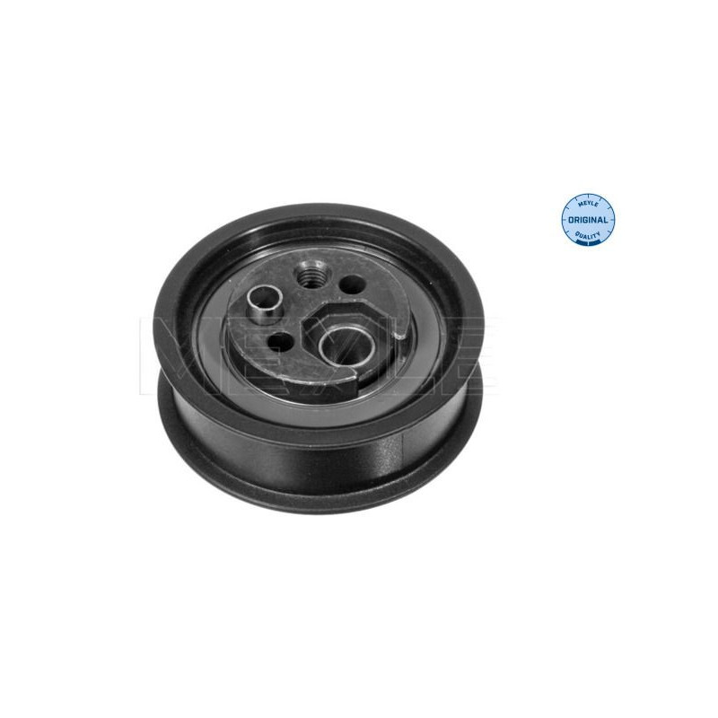 Tendicinghia distribuzione - MEYLE