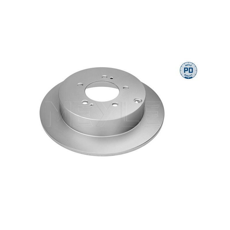 Disco freno asse posteriore - MEYLE