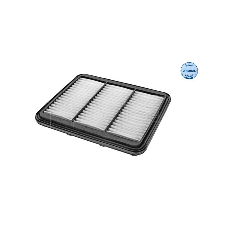 Filtro aria - MEYLE