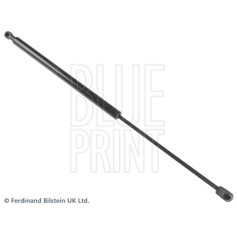 Pistoncino ammortizzatore - BLUE PRINT